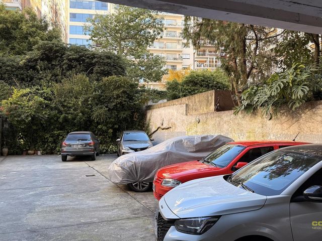 place photo 37