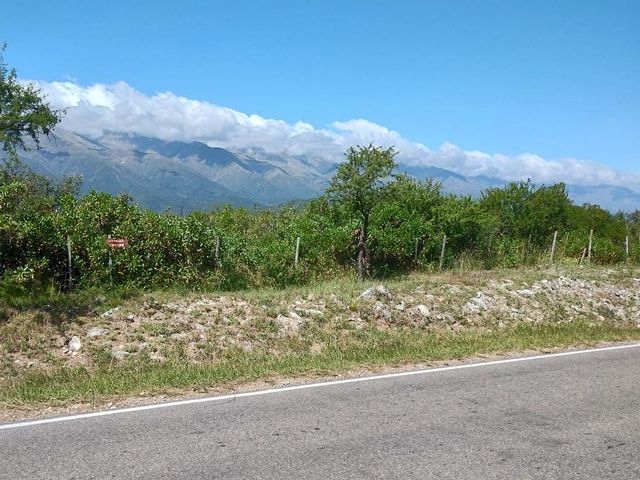 place photo 41