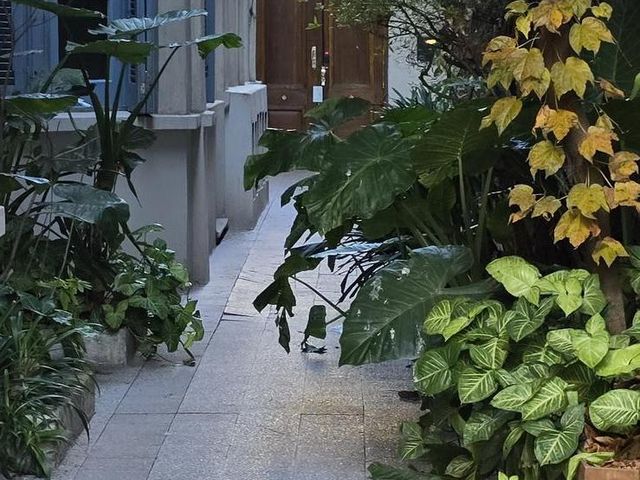 place photo 36