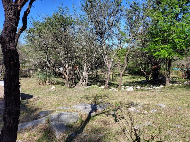 place photo 53