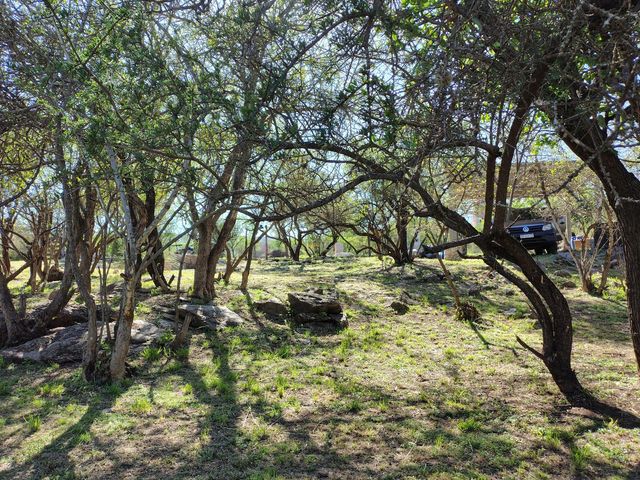 place photo 45
