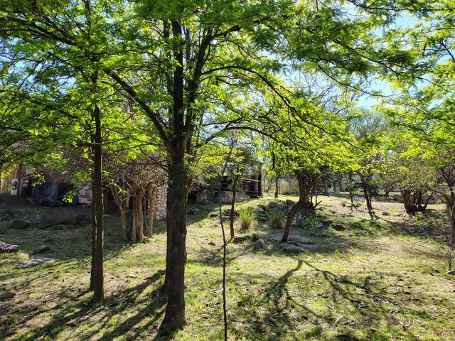 place photo 42