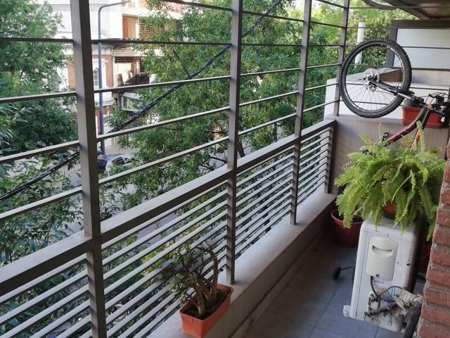 place photo 16