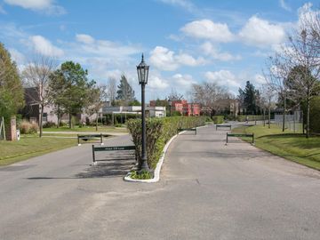 place photo 40