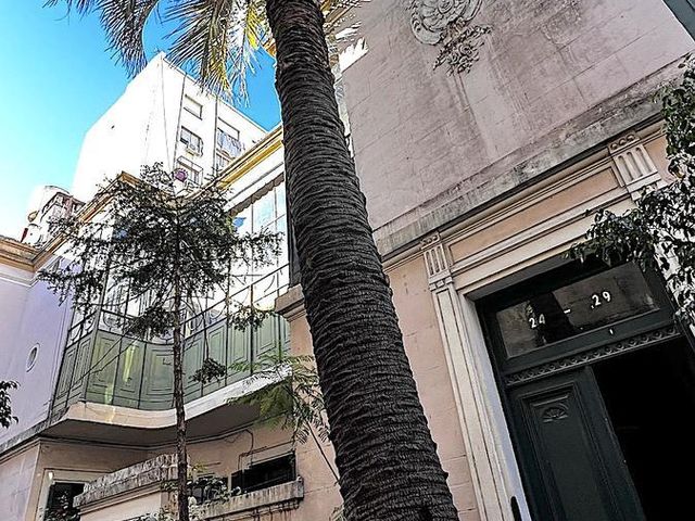 place photo 29