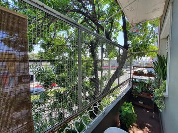 place photo 18