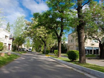 place photo 20