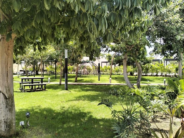 place photo 34