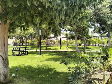 place photo 21