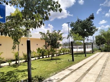 place photo 25