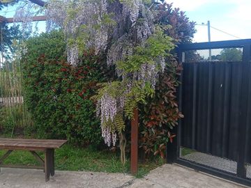 place photo 40