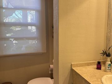 place photo 43