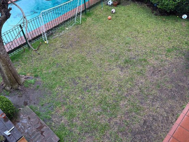 place photo 71