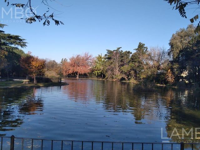 place photo 28