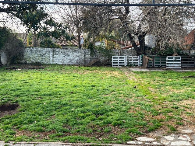 place photo 28