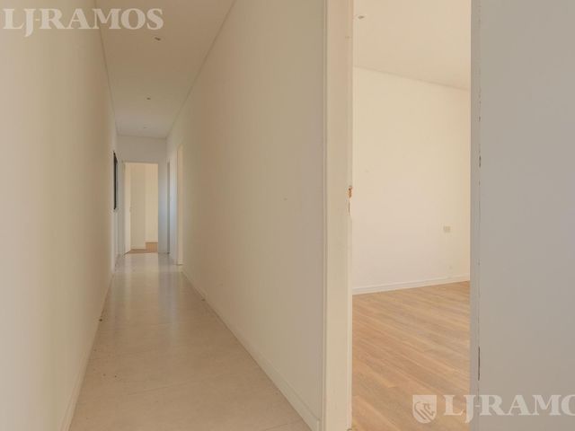 place photo 48