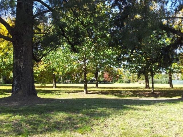 place photo 50