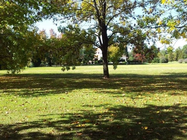 place photo 52