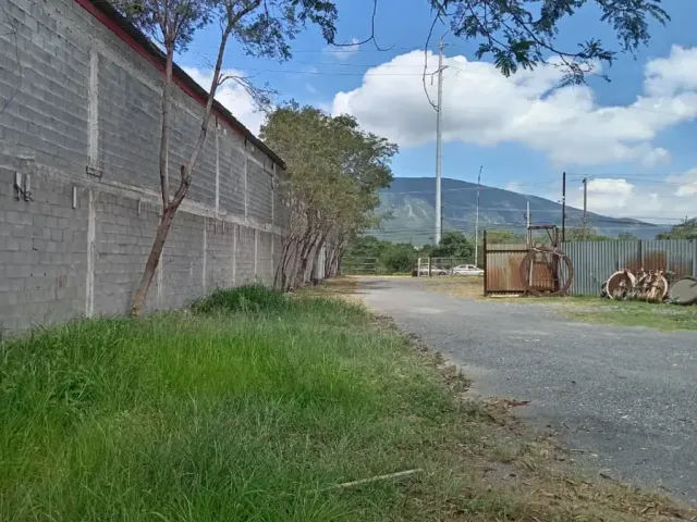 place photo 8
