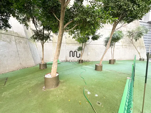 place photo 32