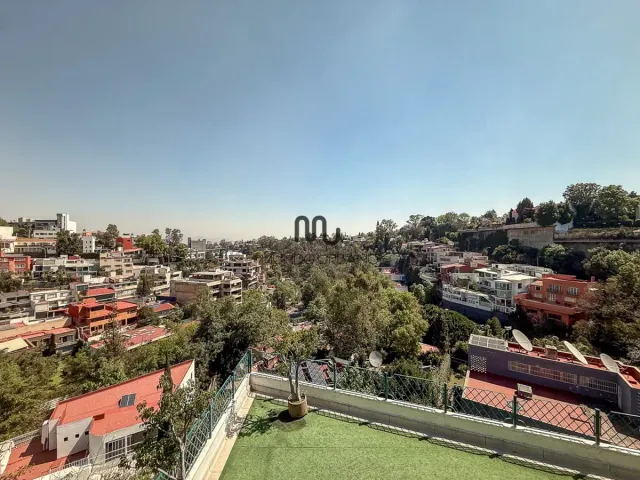 place photo 31