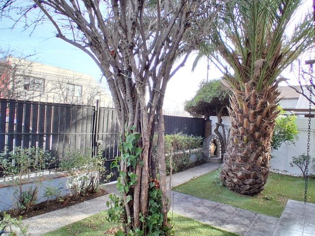 place photo 78