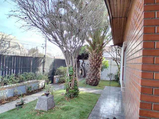 place photo 66