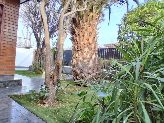 place photo 72
