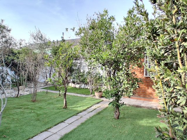 place photo 55