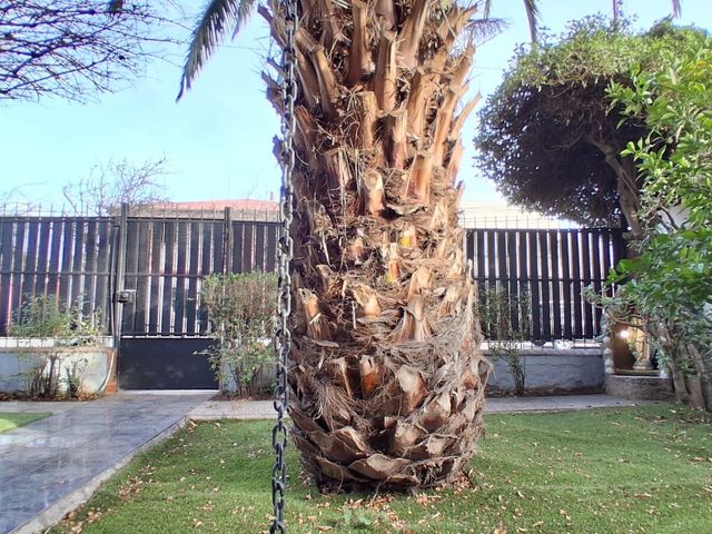 place photo 71