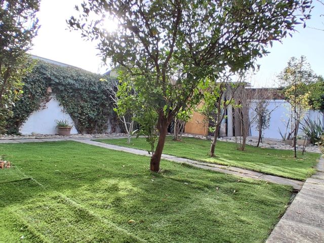 place photo 50