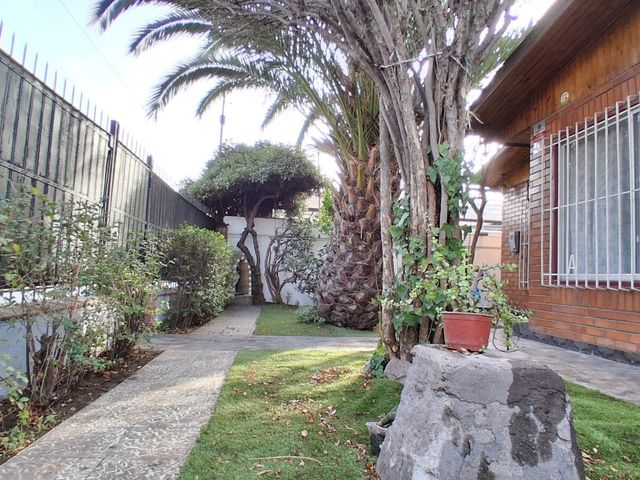 place photo 76