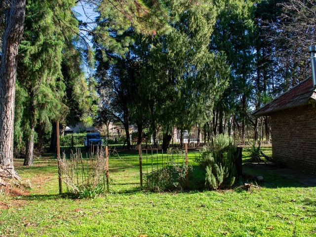 place photo 46
