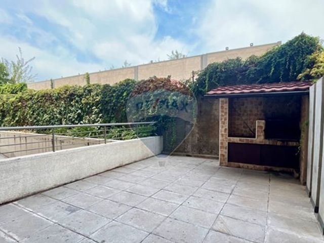place photo 58