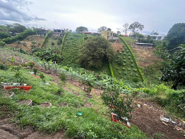 place photo 43