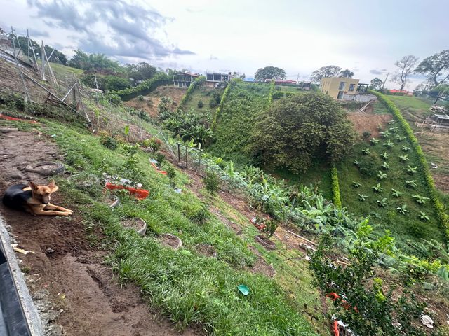 place photo 45