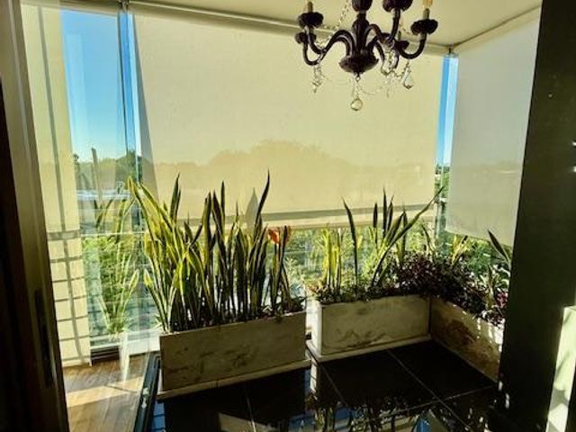 place photo 65