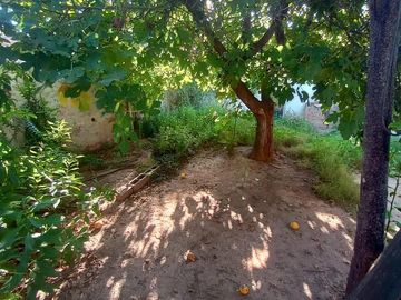 place photo 31