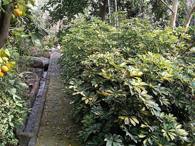 place photo 14