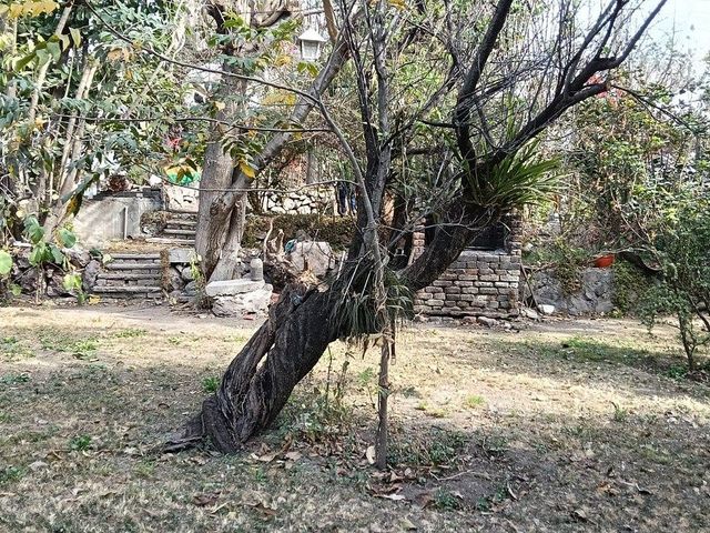 place photo 16