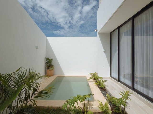 place photo 40