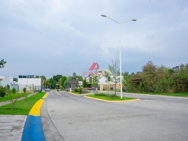 place photo 43