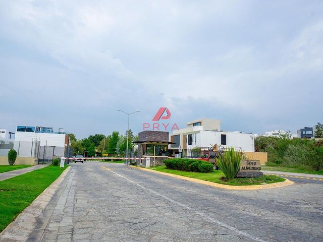 place photo 46