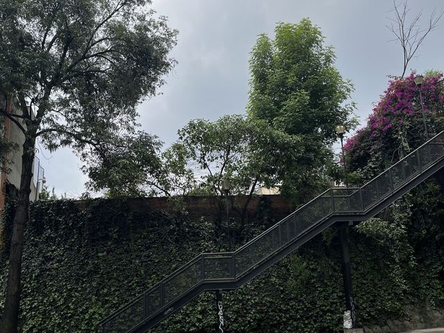place photo 21