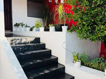 place photo 39