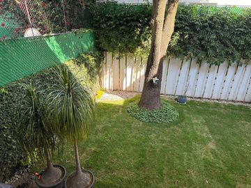place photo 40