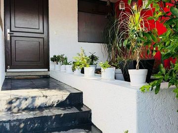 place photo 37