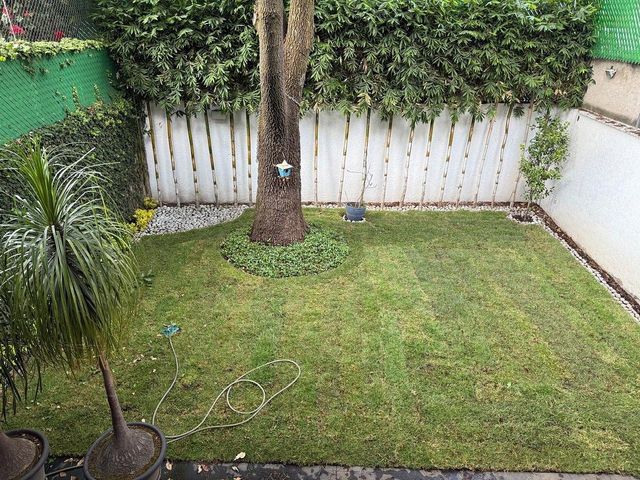 place photo 41