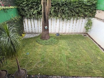 place photo 41