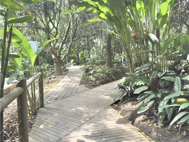 place photo 30